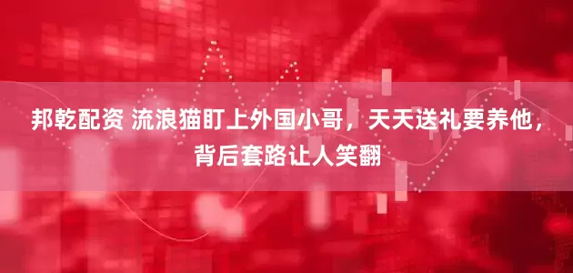 邦乾配资 流浪猫盯上外国小哥，天天送礼要养他，背后套路让人笑翻