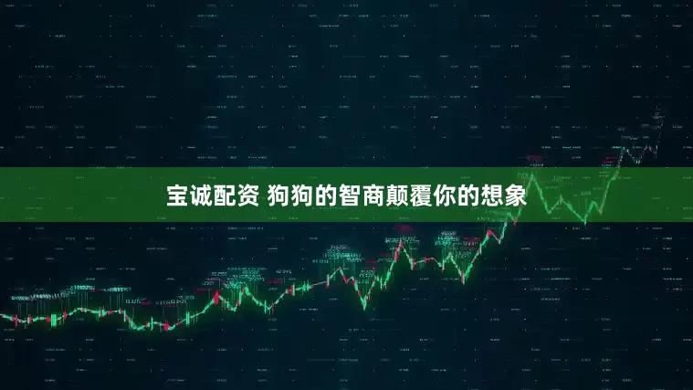 宝诚配资 狗狗的智商颠覆你的想象