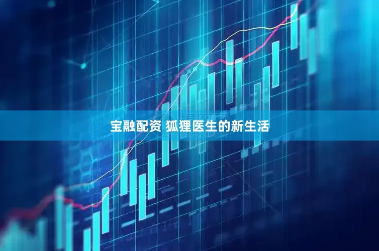 宝融配资 狐狸医生的新生活