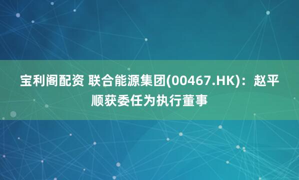 宝利阁配资 联合能源集团(00467.HK)：赵平顺获委任为执行董事
