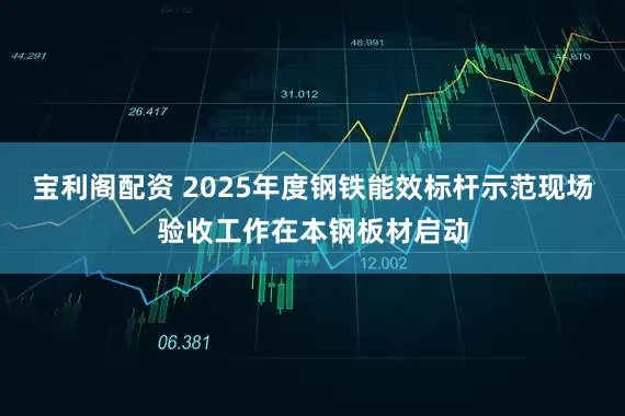 宝利阁配资 2025年度钢铁能效标杆示范现场验收工作在本钢板材启动
