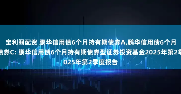 宝利阁配资 鹏华信用债6个月持有期债券A,鹏华信用债6个月持有期债券C: 鹏华信用债6个月持有期债券型证券投资基金2025年第2季度报告