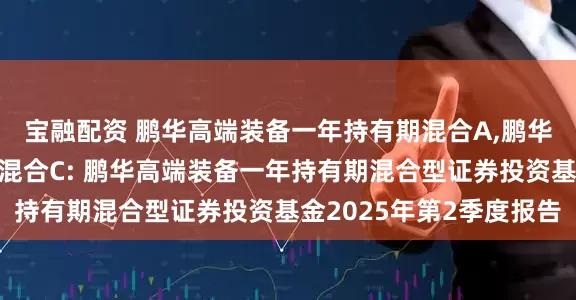 宝融配资 鹏华高端装备一年持有期混合A,鹏华高端装备一年持有期混合C: 鹏华高端装备一年持有期混合型证券投资基金2025年第2季度报告