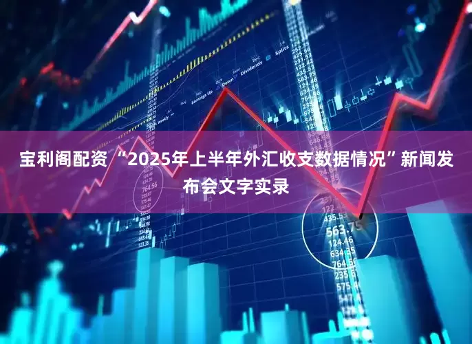 宝利阁配资 “2025年上半年外汇收支数据情况”新闻发布会文字实录